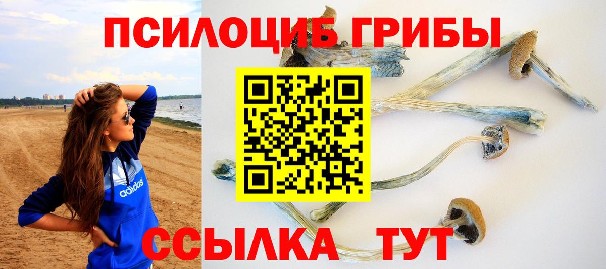 Красноуфимск  Псилоцибиновые грибы GOLDEN TEACHER  купить   Вход с VPN 